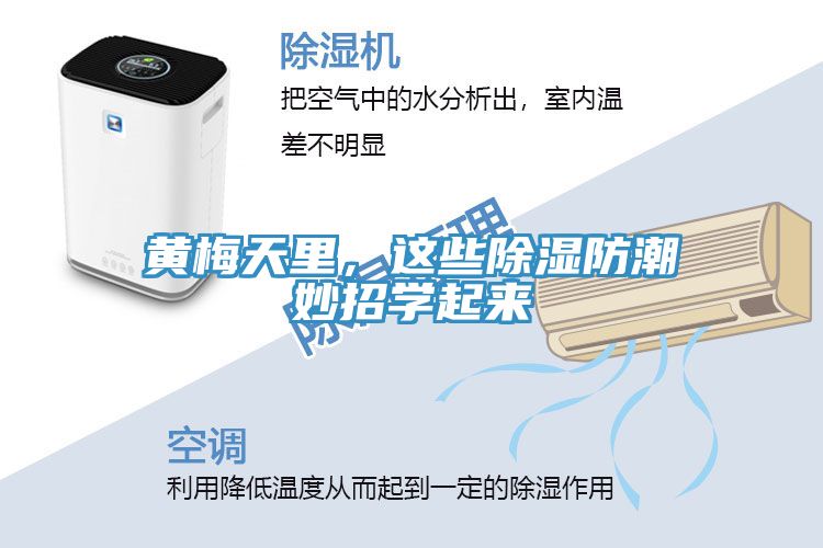黃梅天里，這些除濕防潮妙招學起來