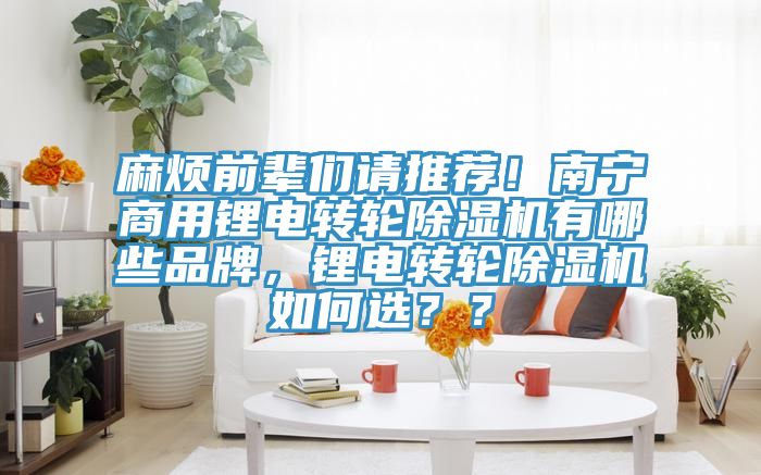 麻煩前輩們請推薦！南寧商用鋰電轉(zhuǎn)輪除濕機有哪些品牌，鋰電轉(zhuǎn)輪除濕機如何選？？
