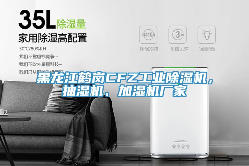 黑龍江鶴崗CFZ工業(yè)除濕機(jī)，抽濕機(jī)、加濕機(jī)廠家