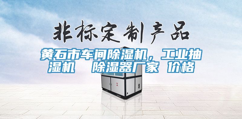 黃石市車間除濕機(jī)，工業(yè)抽濕機(jī)  除濕器廠家 價(jià)格
