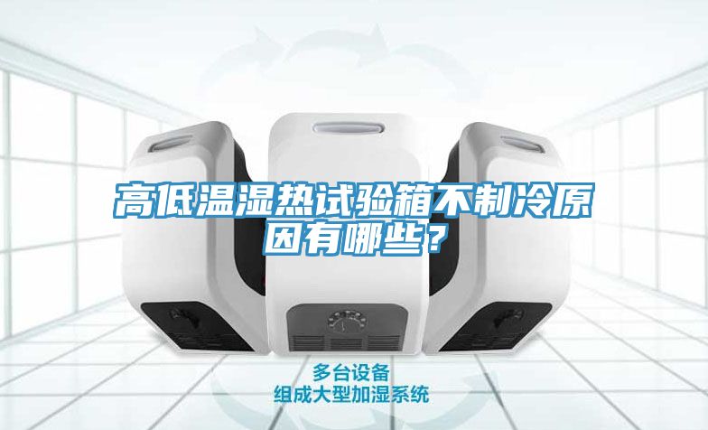 高低溫濕熱試驗(yàn)箱不制冷原因有哪些？