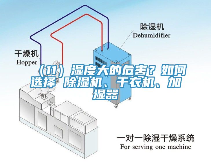 （11）濕度大的危害？如何選擇 除濕機(jī)、干衣機(jī)、加濕器