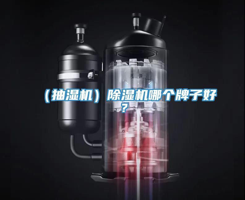 （抽濕機(jī)）除濕機(jī)哪個(gè)牌子好？