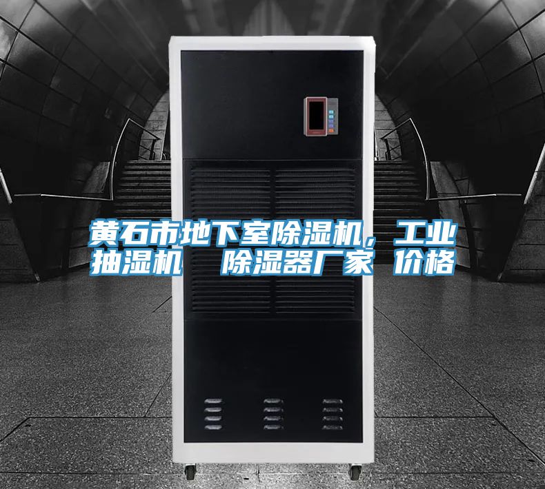 黃石市地下室除濕機(jī)，工業(yè)抽濕機(jī)  除濕器廠家 價(jià)格