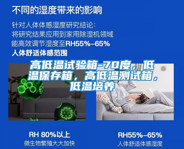 高低溫試驗箱-70度，低溫保存箱，高低溫測試箱，低溫培養(yǎng)