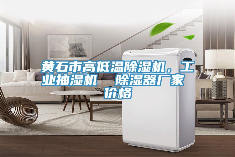 黃石市高低溫除濕機(jī)，工業(yè)抽濕機(jī)  除濕器廠家 價(jià)格