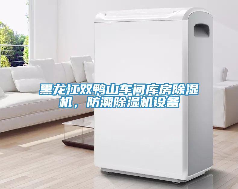 黑龍江雙鴨山車間庫(kù)房除濕機(jī)，防潮除濕機(jī)設(shè)備