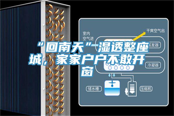 “回南天”濕透整座城，家家戶戶不敢開窗