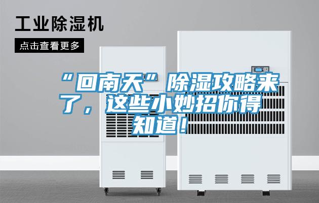 “回南天”除濕攻略來了，這些小妙招你得知道！