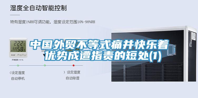 中國(guó)外貿(mào)不等式痛并快樂(lè)著 優(yōu)勢(shì)成遭指責(zé)的短處(1)