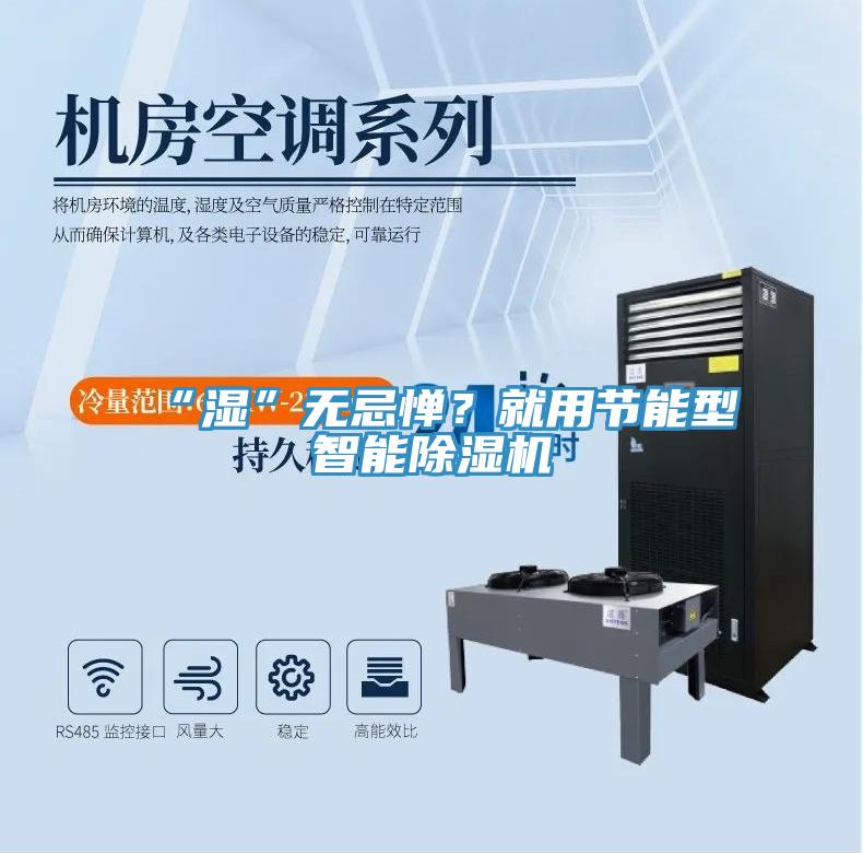 “濕”無忌憚？就用節(jié)能型智能除濕機(jī)