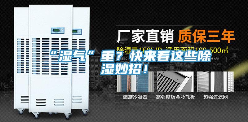 “濕氣”重？快來看這些除濕妙招！