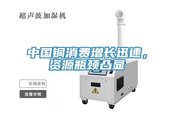 中國銅消費(fèi)增長迅速，資源瓶頸凸顯