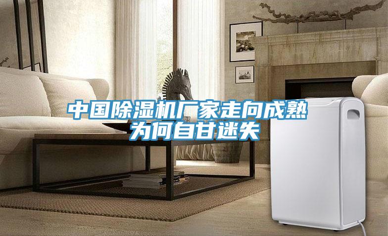中國除濕機(jī)廠家走向成熟 為何自甘迷失