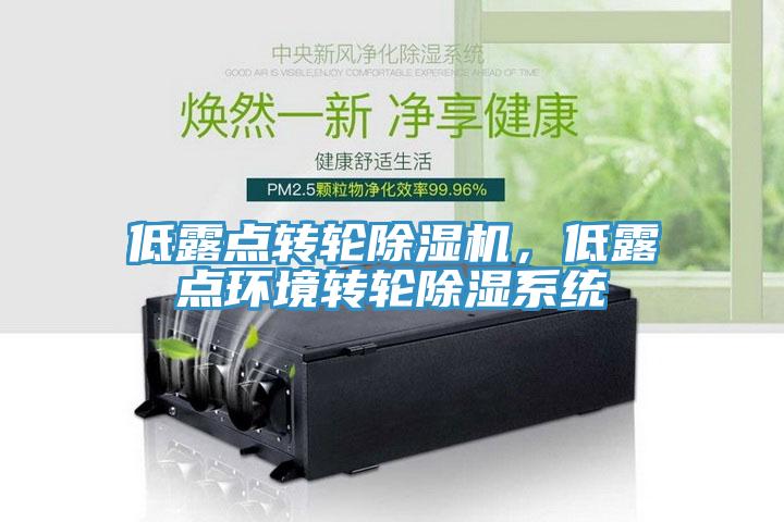 低露點(diǎn)轉(zhuǎn)輪除濕機(jī)，低露點(diǎn)環(huán)境轉(zhuǎn)輪除濕系統(tǒng)