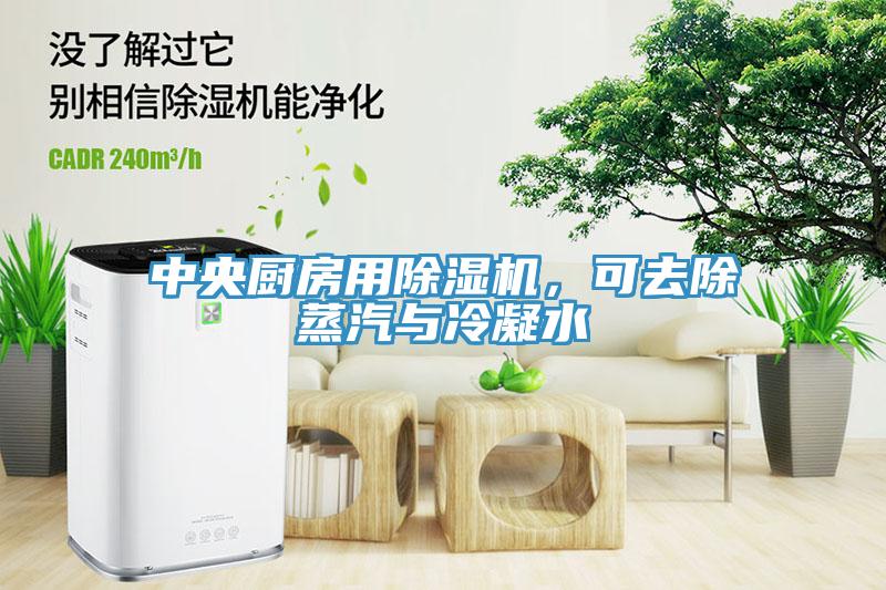 中央廚房用除濕機(jī)，可去除蒸汽與冷凝水