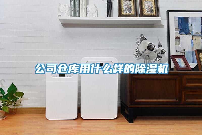 公司倉庫用什么樣的除濕機(jī)