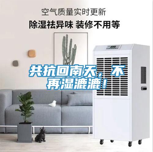 共抗回南天，不再濕漉漉！