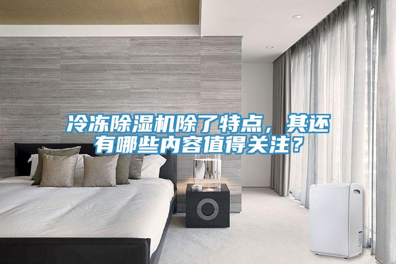 冷凍除濕機(jī)除了特點,其還有哪些內(nèi)容值得關(guān)注?