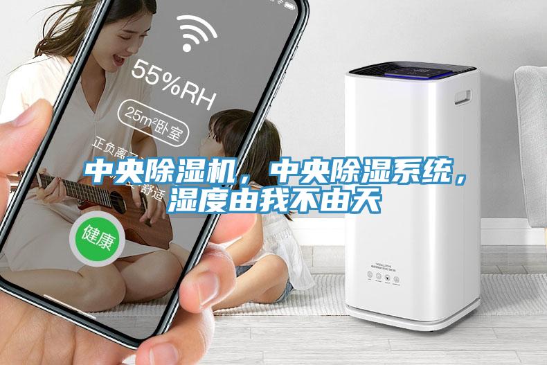 中央除濕機(jī)，中央除濕系統(tǒng)，濕度由我不由天