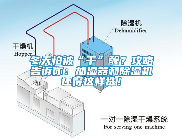 冬天怕被“干”醒？攻略告訴你：加濕器和除濕機(jī)還得這樣選！