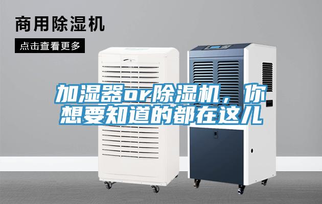 加濕器or除濕機(jī)，你想要知道的都在這兒