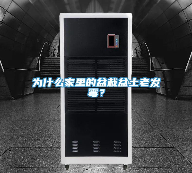為什么家里的盆栽盆土老發(fā)霉？