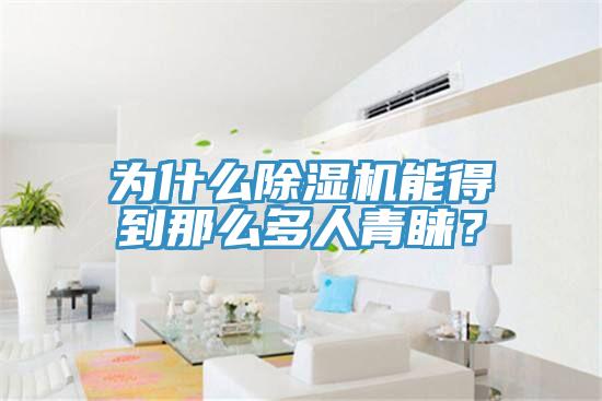 為什么除濕機能得到那么多人青睞？