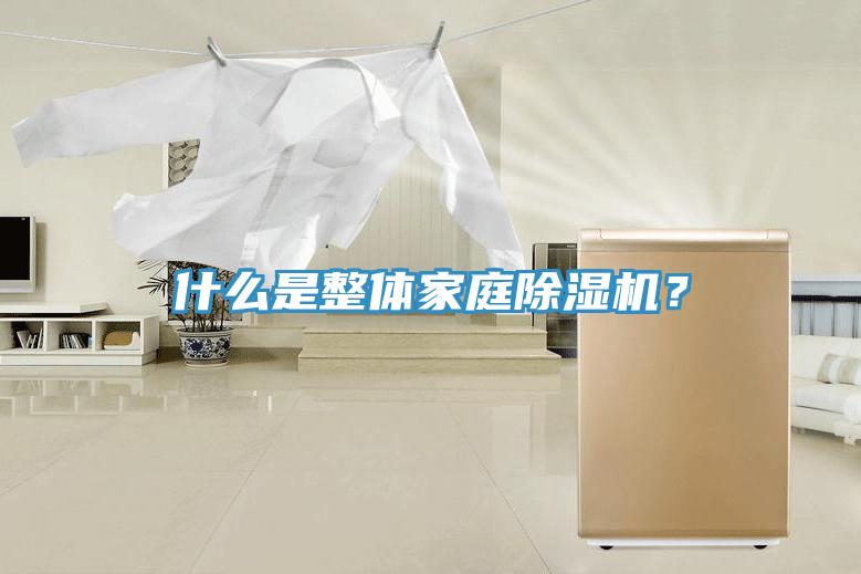 什么是整體家庭除濕機(jī)？