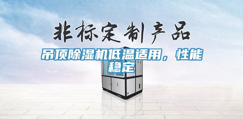 吊頂除濕機低溫適用，性能穩(wěn)定