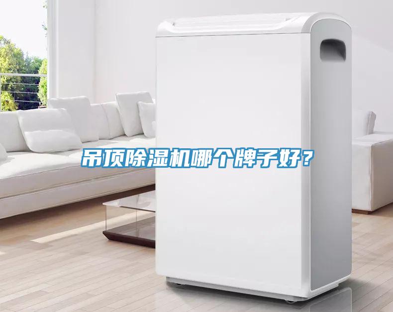 吊頂除濕機(jī)哪個牌子好？