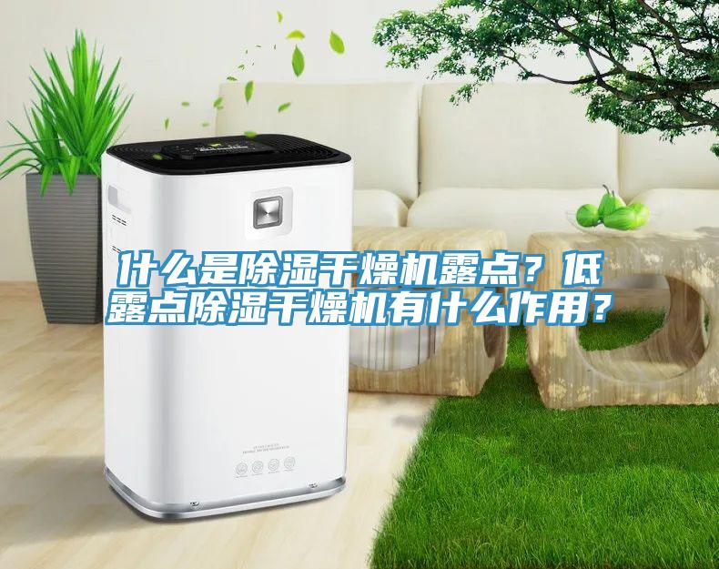 什么是除濕干燥機露點？低露點除濕干燥機有什么作用？
