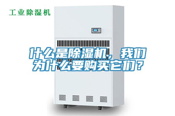 什么是除濕機，我們?yōu)槭裁匆徺I它們？