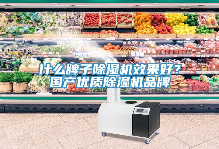 什么牌子除濕機效果好？國產(chǎn)優(yōu)質(zhì)除濕機品牌