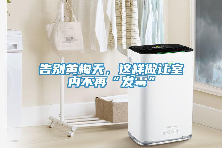 告別黃梅天，這樣做讓室內(nèi)不再“發(fā)霉”