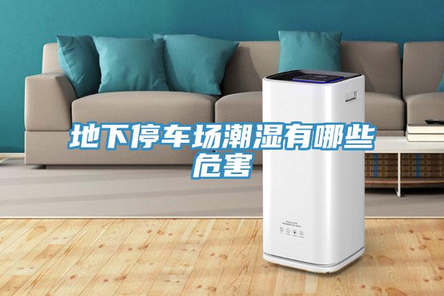 地下停車場(chǎng)潮濕有哪些危害