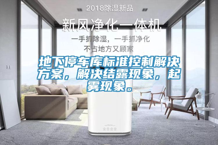 地下停車庫(kù)標(biāo)準(zhǔn)控制解決方案，解決結(jié)露現(xiàn)象，起霧現(xiàn)象。