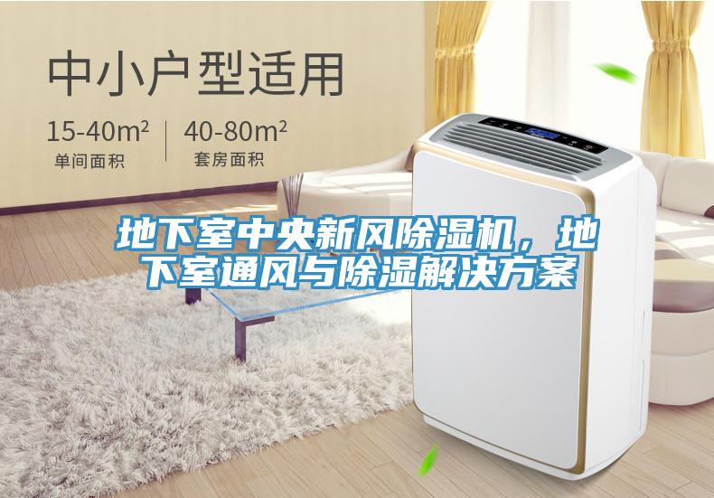 地下室中央新風(fēng)除濕機(jī)，地下室通風(fēng)與除濕解決方案