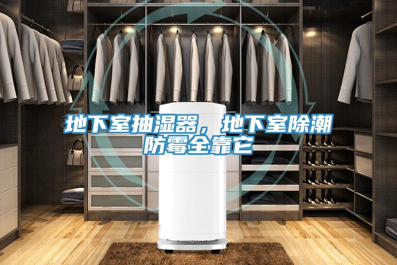 地下室抽濕器，地下室除潮防霉全靠它