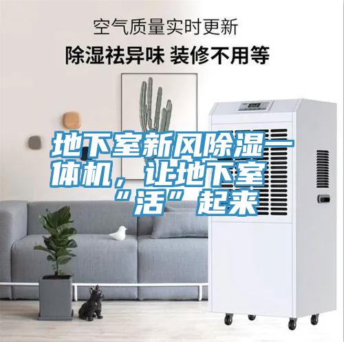 地下室新風(fēng)除濕一體機(jī)，讓地下室“活”起來(lái)