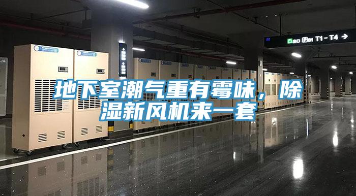 地下室潮氣重有霉味，除濕新風(fēng)機(jī)來(lái)一套