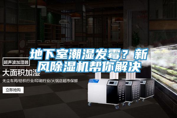 地下室潮濕發(fā)霉？新風(fēng)除濕機(jī)幫你解決