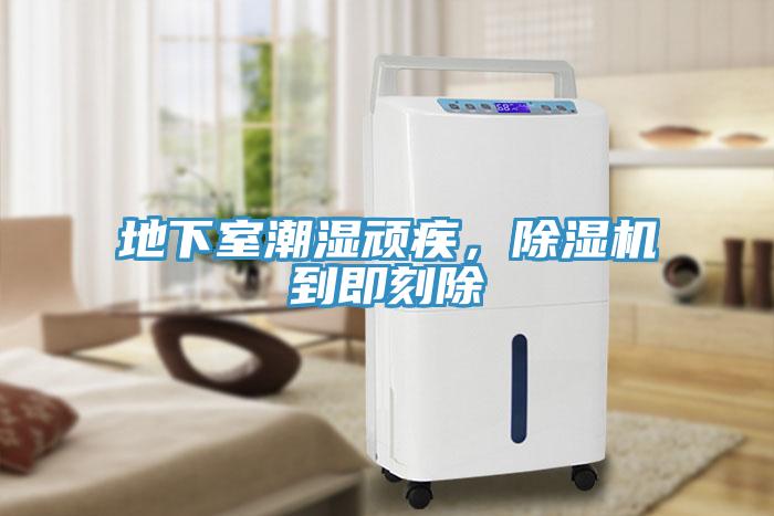 地下室潮濕頑疾，除濕機到即刻除