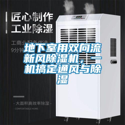 地下室用雙向流新風除濕機，一機搞定通風與除濕
