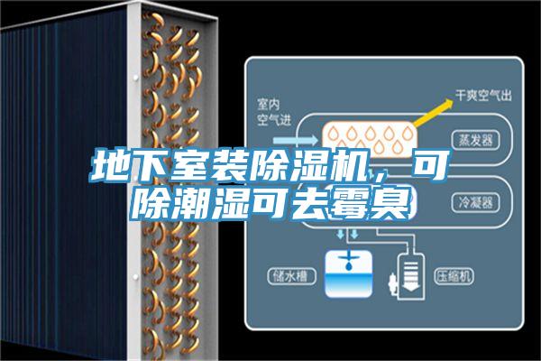 地下室裝除濕機，可除潮濕可去霉臭